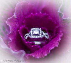 rasheda_ontrell_engagement-5793.jpg